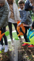 Eco Autumn at School 5 - Picture 25