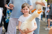 Summer Fairs at BIS 1 and 2 - june 2023 - Picture 21