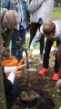 Eco Autumn at School 5 - Picture 4