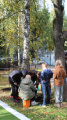 Eco Autumn at School 5 - Picture 9