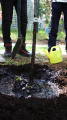 Eco Autumn at School 5 - Picture 16