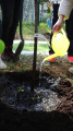 Eco Autumn at School 5 - Picture 15