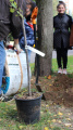 Eco Autumn at School 5 - Picture 23