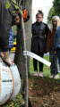 Eco Autumn at School 5 - Picture 24