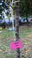 Eco Autumn at School 5 - Picture 22