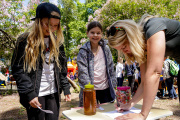 Summer Fair, 23rd of June 2017. School 1 & 2 - Picture 4