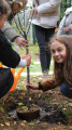 Eco Autumn at School 5 - Picture 3