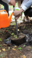 Eco Autumn at School 5 - Picture 1