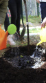 Eco Autumn at School 5 - Picture 14