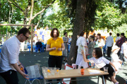 Summer Fairs at BIS 9 - june 2023 - Picture 14