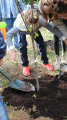 Eco Autumn at School 5 - Picture 8