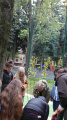 Eco Autumn at School 5 - Picture 5