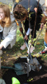 Eco Autumn at School 5 - Picture 12