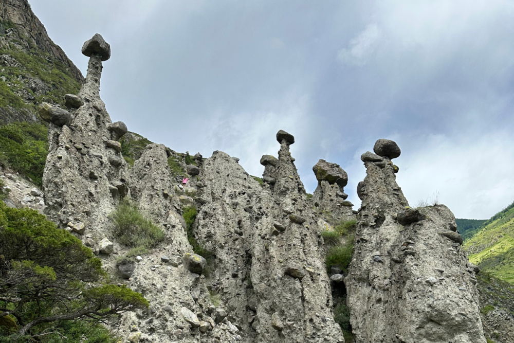 The trip to Altai and Mongolia from 21 June to 2 July 2023 - Picture 22