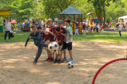 Summer Fairs at BIS 1 and 2 - june 2023 - Picture 45