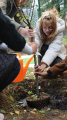 Eco Autumn at School 5 - Picture 2